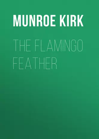 The Flamingo Feather