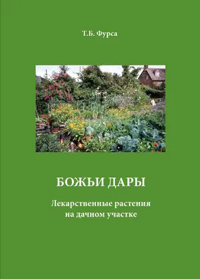 Война и мир. 1805-1812 с исторической точки зрения и по воспоминаниям современника. По поводу сочинения графа Л.Н.Толстого «Война и мир»