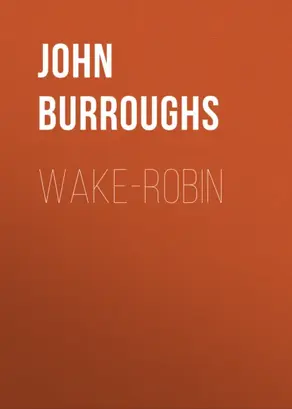 Wake-Robin