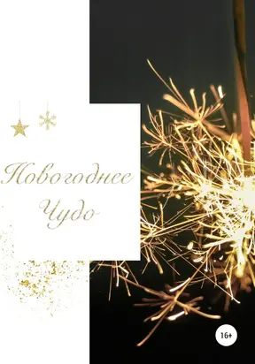 Новогоднее чудо [publisher: SelfPub]