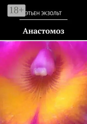 Анастомоз