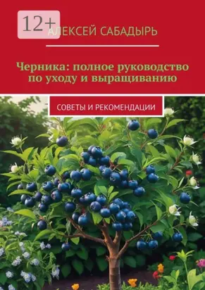 Черника: полное руководство по уходу и выращиванию. Советы и рекомендации