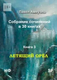 Книга 3. Летящий Орёл [publisher: Издательские решения]
