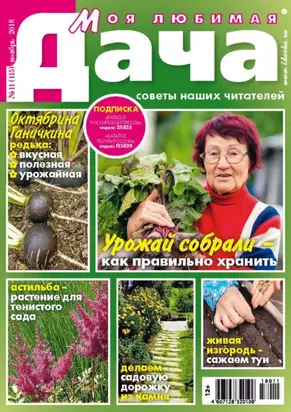 Моя любимая дача №11/2018