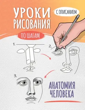 Уроки рисования по шагам. Анатомия человека
