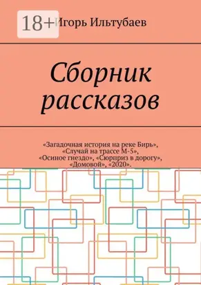 Сборник рассказов. «Загадочная история на реке Бирь», «Случай на трассе М-5», «Осиное гнездо», «Сюрприз в дорогу», «Домовой», «2020»