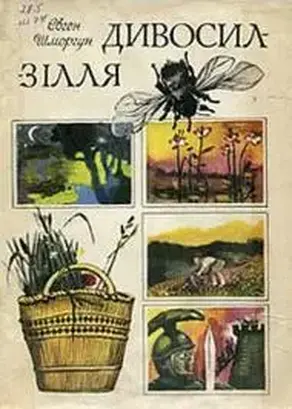 Зозулині черевички