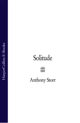 Solitude