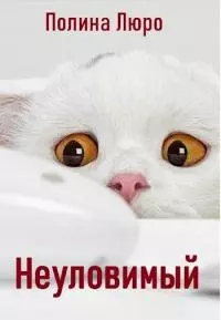 Неуловимый [СИ]