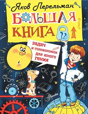 Большая книга задач и головоломок для юного гения