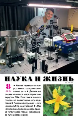 Наука и жизнь №08/2024