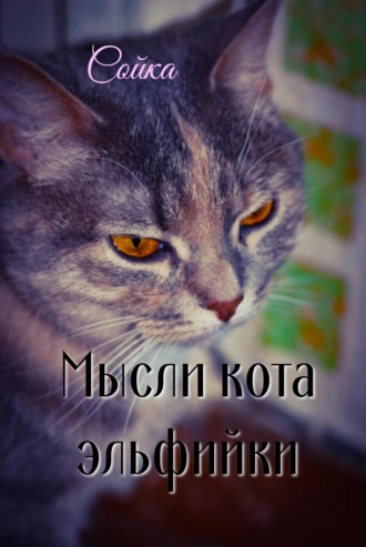 Мысли кота эльфийки