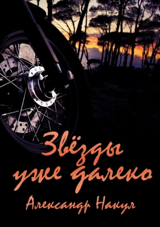 Звёзды уже далеко. Агент Выдра №1