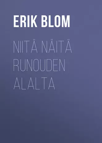 Niitä näitä runouden alalta