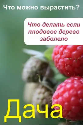 Что можно вырастить Что делать, если плодовое дерево заболело