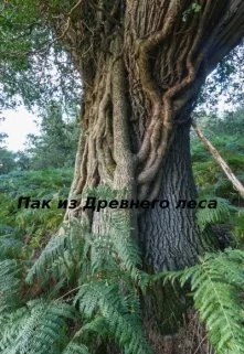 Пак из Древнего леса [СИ]