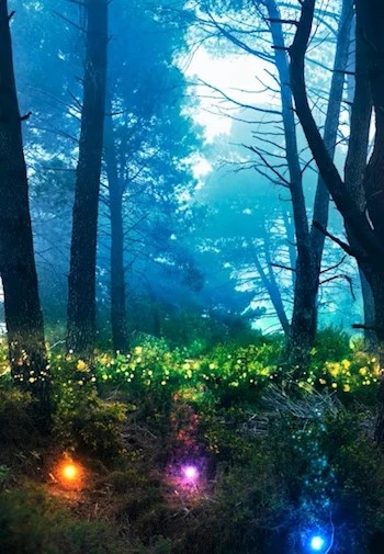 Баламут — 2