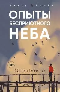Опыты бесприютного неба [litres]