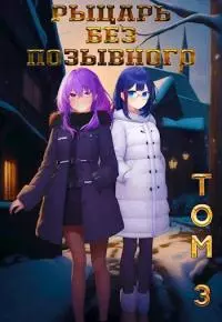 Рыцарь без позывного (Том: III)