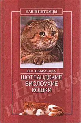 Шотландские вислоухие кошки