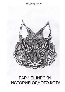 Бар Чеширски. История одного кота