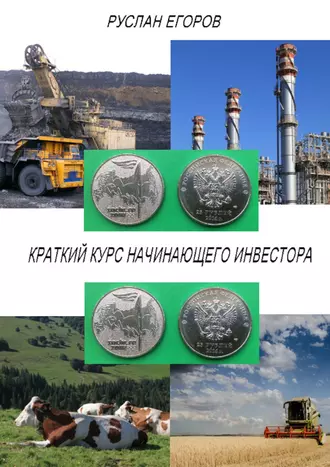 Краткий курс начинающего инвестора