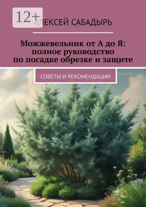 Можжевельник от А до Я: полное руководство по посадке обрезке и защите. Советы и рекомендации
