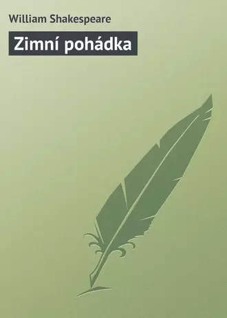 Zimní pohádka