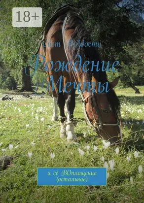 Рождение мечты. И её воплощение (остальное)