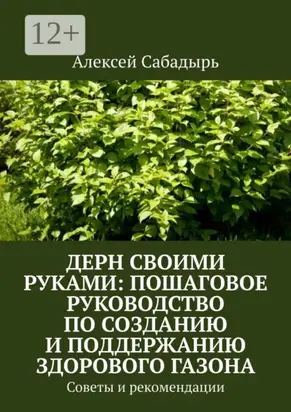 Дерн своими руками: пошаговое руководство по созданию и поддержанию здорового газона. Советы и рекомендации