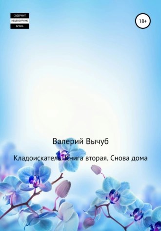 Кладоискатель. Книга вторая. Снова дома