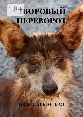 Дворовый переворот