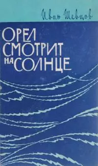 Орел смотрит на солнце