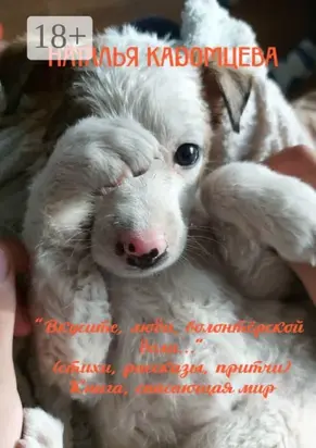 Вкусите, люди, волонтёрской доли…