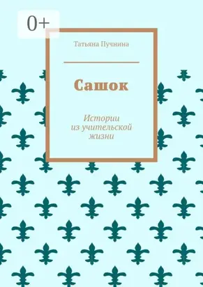Сашок. Истории из учительской жизни
