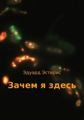 Зачем я здесь