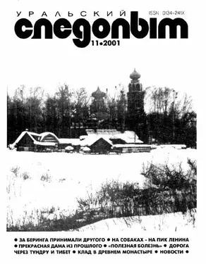 Коряга, похожая на обернувшуюся кошку