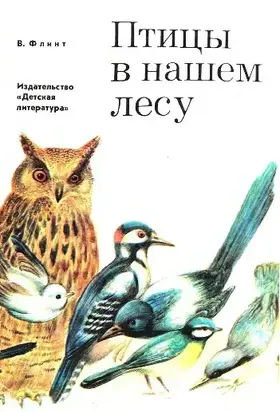 Птицы в нашем лесу