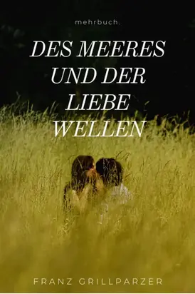 Des Meeres und der Liebe Wellen