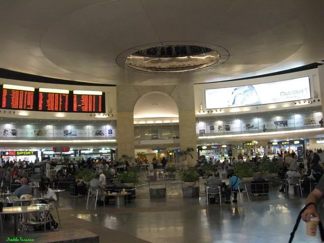 Эмигрантка