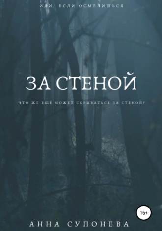 За стеной