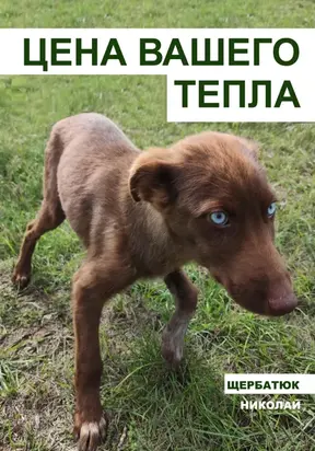 Цена вашего тепла