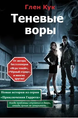 Теневые воры