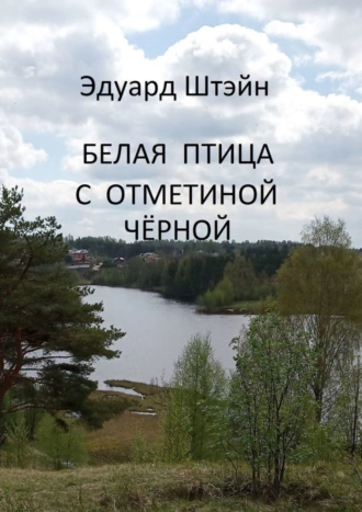 Белая птица с отметиной чёрной