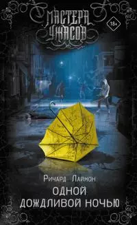 Одной дождливой ночью [litres]
