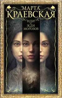 Иди и жди морозов [litres]