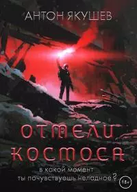 Отмели космоса [litres]