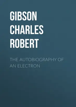 The Autobiography of an Electron