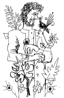 Брифинг по никое време