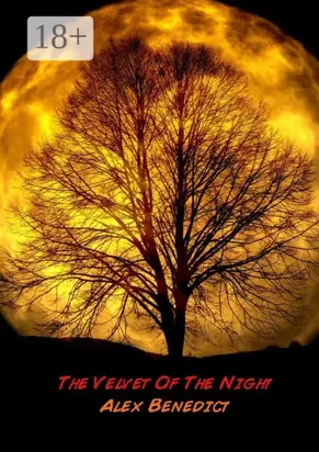 The Velvet Of The Night